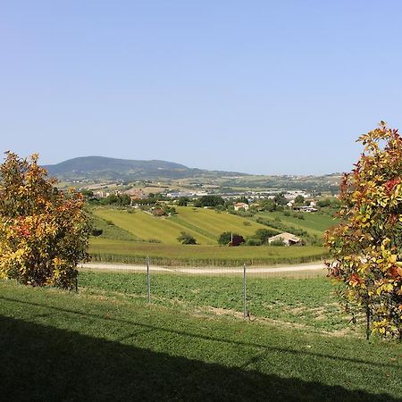 Villa Belvedere Degli Ulivi Osimo Exteriér fotografie