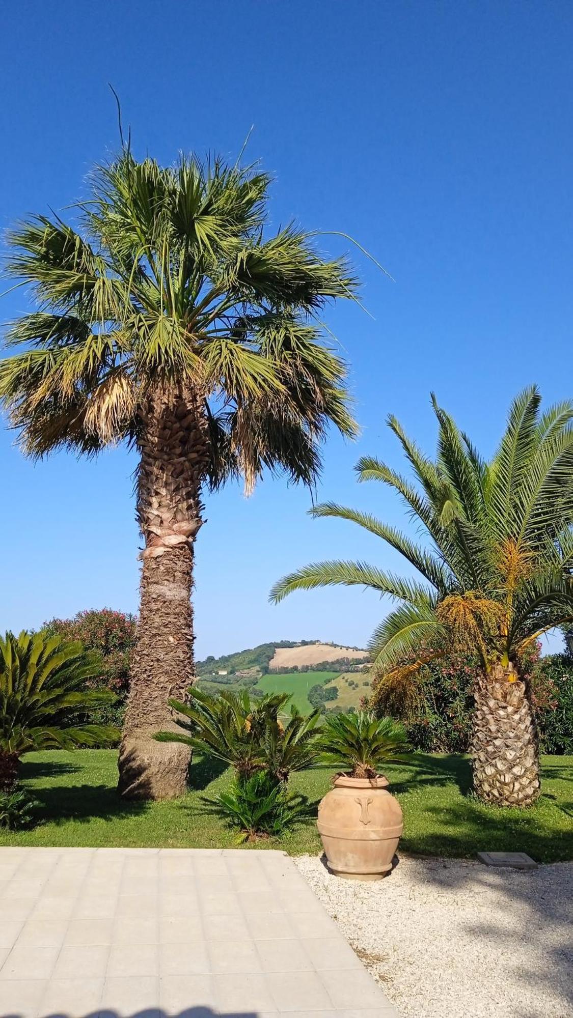 Villa Belvedere Degli Ulivi Osimo Exteriér fotografie