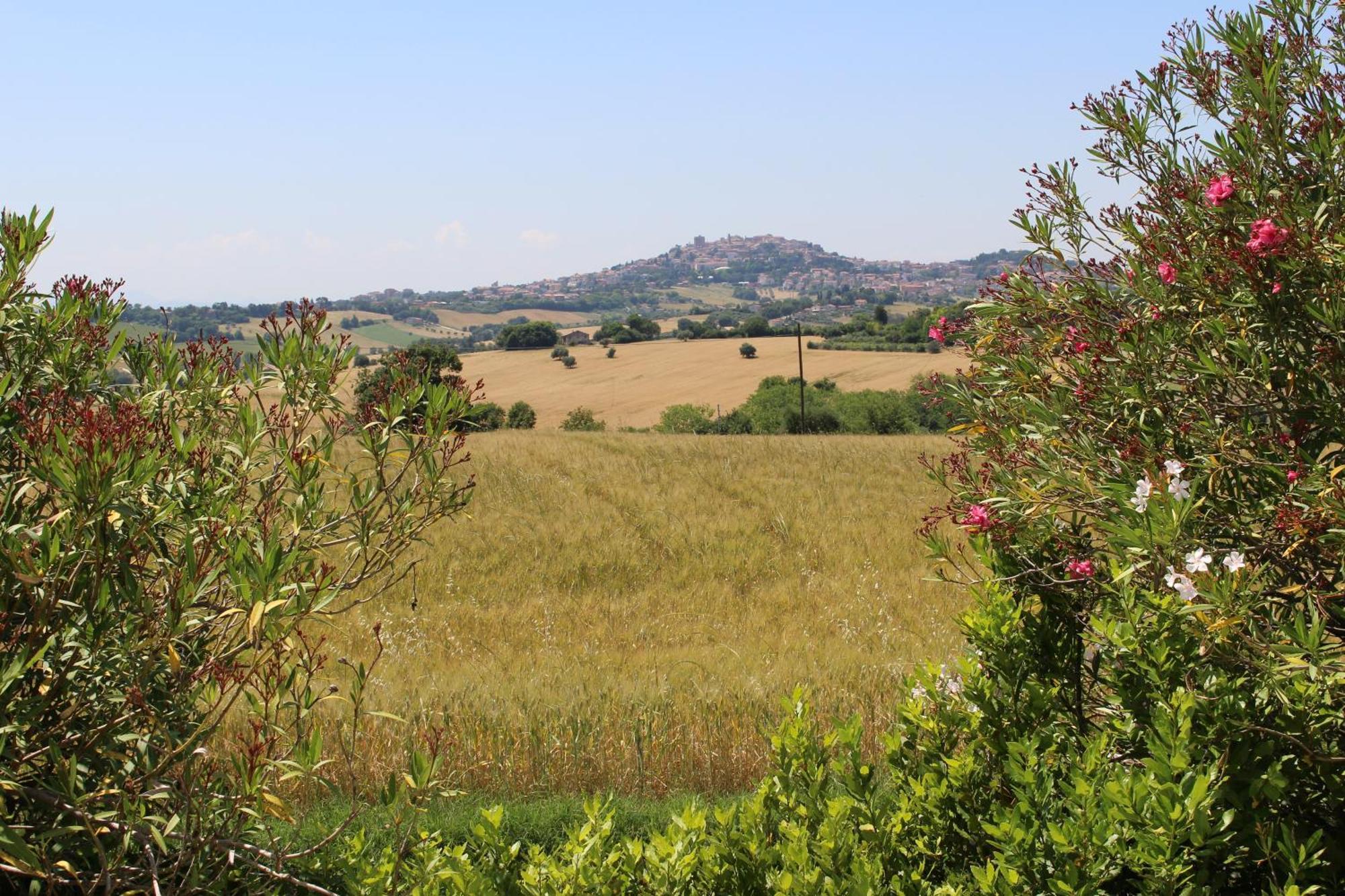 Villa Belvedere Degli Ulivi Osimo Exteriér fotografie